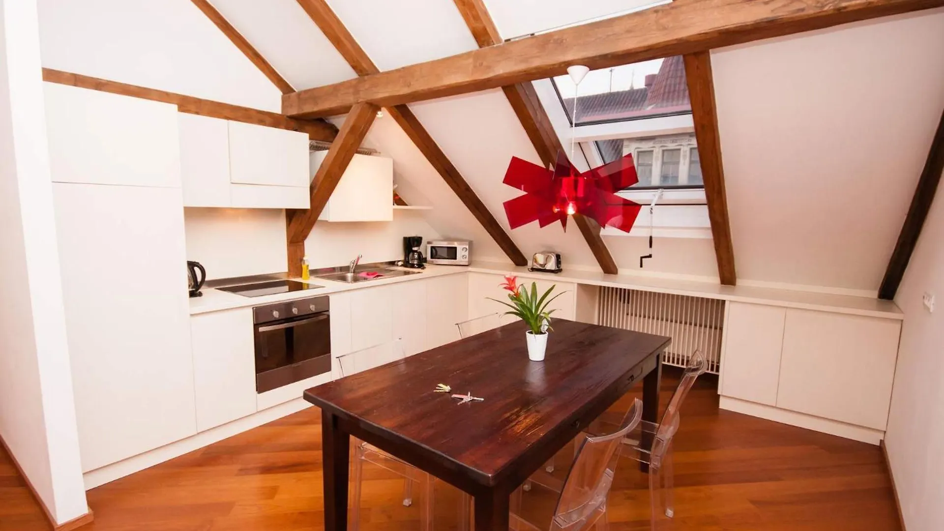 Luxury Loft Daire Prag