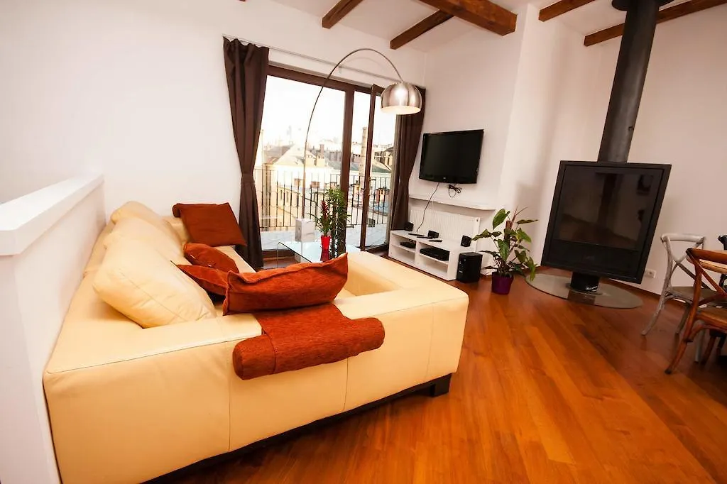 Luxury Loft Daire Prag
